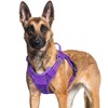 rabbitgoo Dog Harness for Large Dogs No Pull, Tactical Service