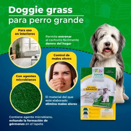 Tapete Entrenador Doggie Grass 3 Capas Grande Para Perro                                                                                              