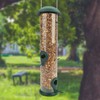 Wildlife Friend, 30 cm Grain Bird Feeder, Green, with 4