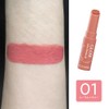 Cezanne Glow Fondue Lip 01 Coral Memory 2.8 g Melts