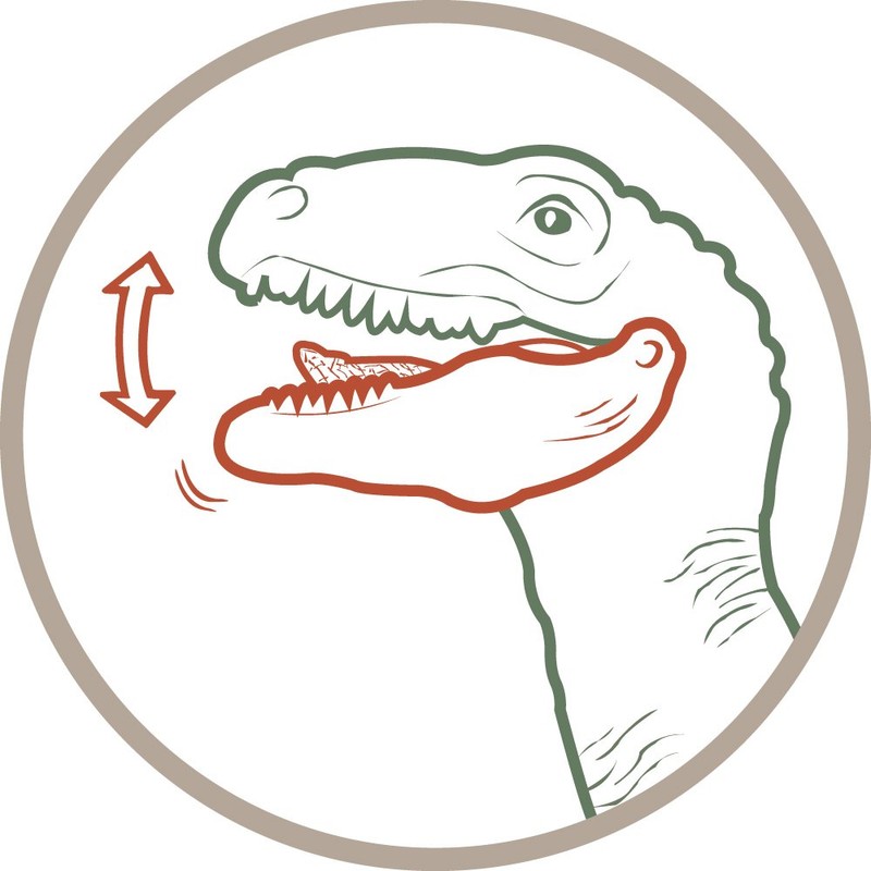 Schleich Velociraptor Action Figure (Green)