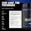 Vedge Nutrition Creatine Vegan Plant-Based Creatine Monohydrate Powder Energy, Performance