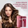 Shampoo Anticaída Y Fortalecedor Del Cabello Cabello Normal