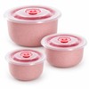 3-Piece Wheat Straw Food Storage Bowl Set for Meals –