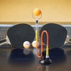 BORDEAG Professional Table Tennis Training Robot, Spin Trainer, Table Tennis,