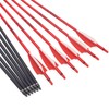 28 Inch Carbon Archery Arrows, Shaft Spine 500 with Removable