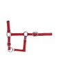 USG Halter with Silver Fittings/ Soft Padded, Pony, Red