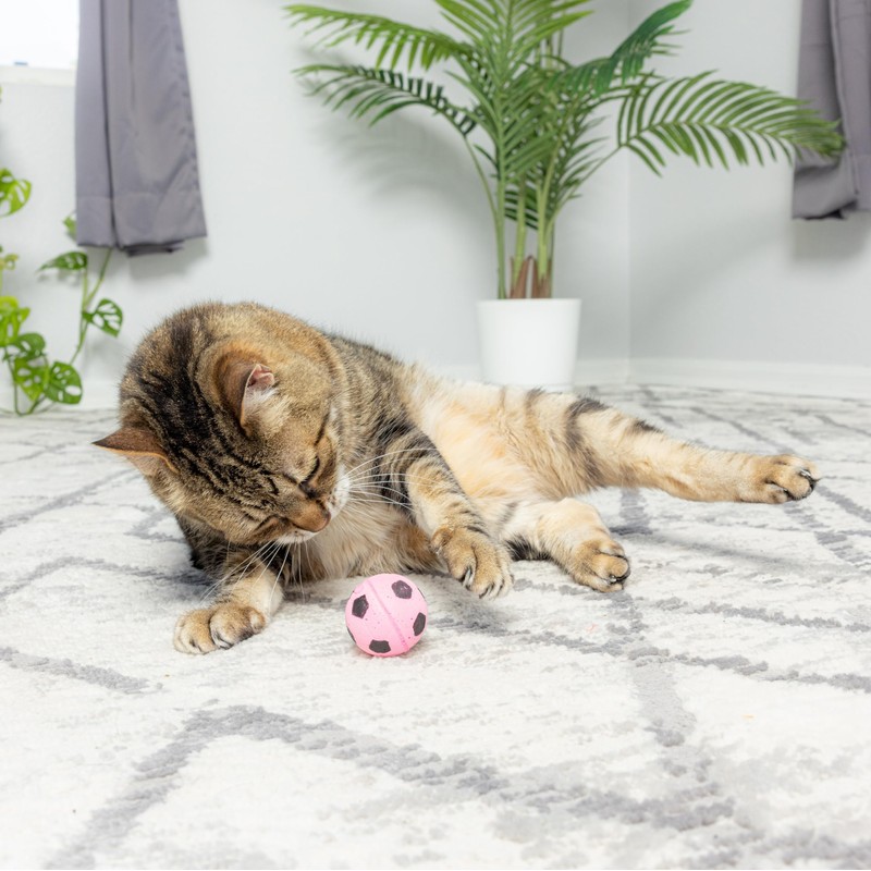 SPOT Sponge Soccer Ball Cat Toys - Interactive and Colorful