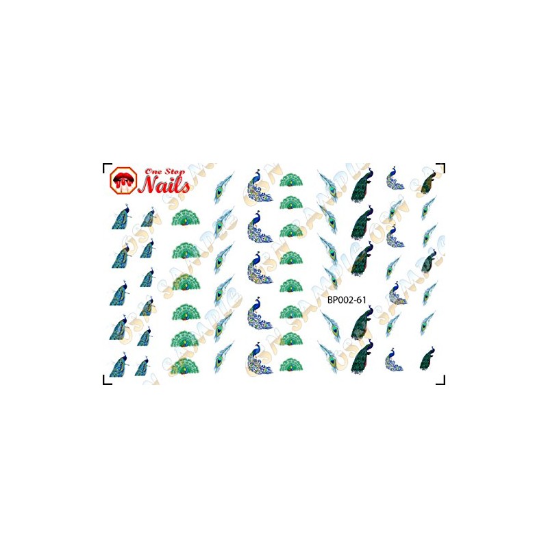Peacock and peacock feathers clear waterslide nail art decals. Set