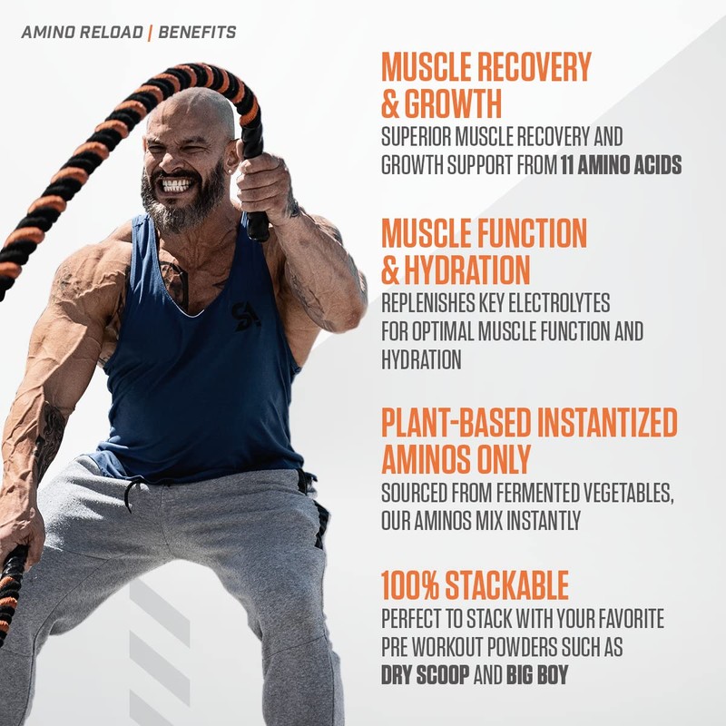 BALLISTIC SUPPS - AMINO RELOAD - All Day Recovery BCAA