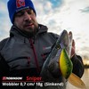 Robinson Fishing Lure for Large Predatory Fish - Jerkbait Wobbler,