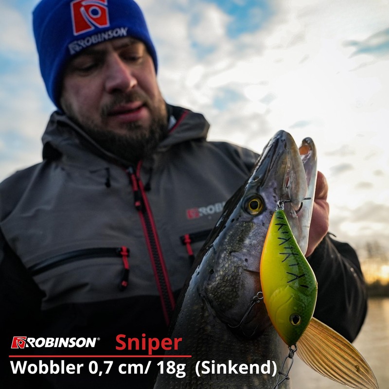 Robinson Fishing Lure for Large Predatory Fish - Jerkbait Wobbler,