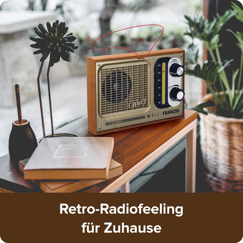 FRANZIS 67226 - The FM Radio for DIY (without soldering)