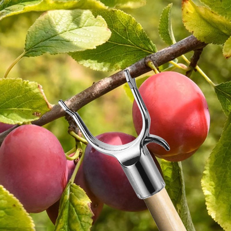 Tree Branch Support,Tree Stabilizer | Branch Straightening Kit for Balcony