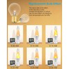 SerBion 40 Watt Lava Lamp Replacement Bulbs - E17 Intermediate