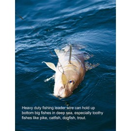 Facikono Fishing Leaders Line Steel Leaders Fishing Saltwater 125LB Fishing Leaders with Swivels and Snaps, 19.68in