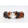 Cosmos Gifts 20745 Hamsters Salt and Pepper Shakers