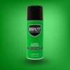 Brut Free Aluminum Deodorant Spray, 24 HR Odor Protection 10oz