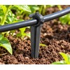 Drip Irrigation Support Stakes for 4/7mm Tubing – 50-Piece C-Shaped