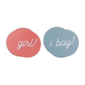 Pink and Blue Gender Reveal Stickers, Gender Reveal Party Supplies Decorations, Boy and Girl, Baby Pink, Baby Blue, Baby Shower Announcement Game, Party Favors (Blue & Pink)