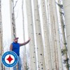 Finnish xylitol powder 350g / 핀란드산 자일리톨 분말 가루 350g