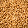 수입산 볶은 귀리 600g Imported Roasted Oats 600g
