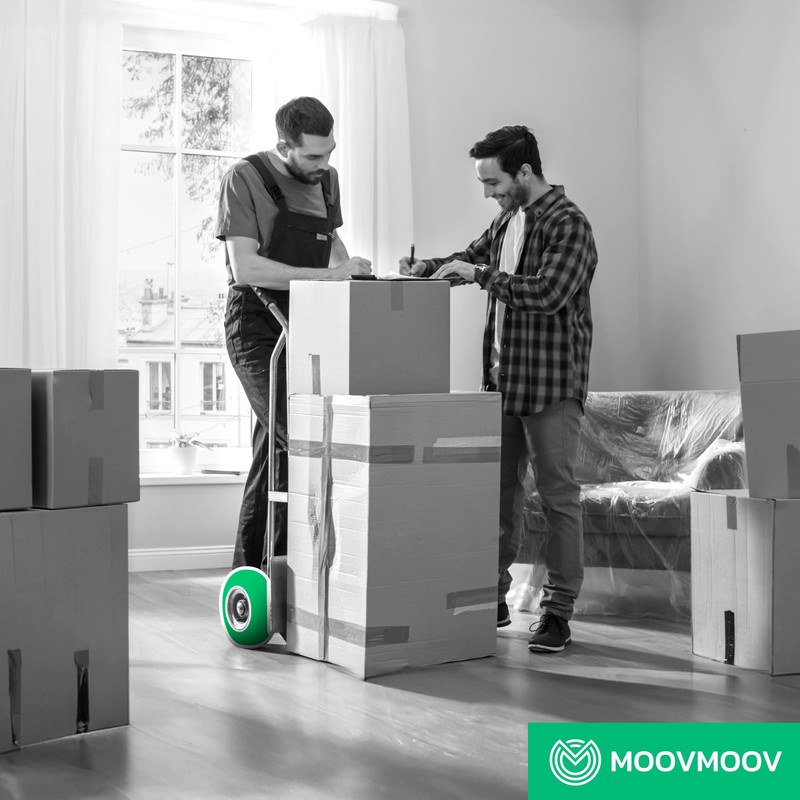 MOOVMOOV Hose 3.00-4 with Angled Valve TR87 (x2) - Replacement