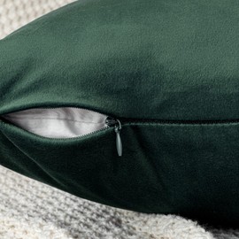 EMEMA Velvet Cushion Cover, Christmas Day Cushion Cover, 30 x 50 cm, Decorative Cushion, Dark Green, Sofa Cushion, Lumbar Cushion, Throw Cushion Cover with Hidden Zip, Sofa and Bedroom, Set of 2