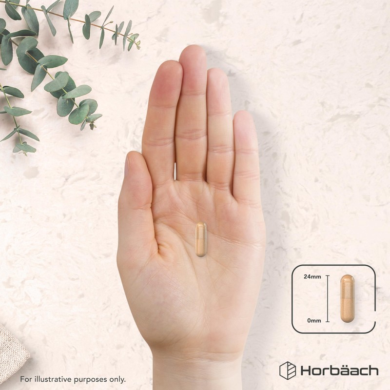 Silica Supplement 500mg | High Strength Silica from Horsetail Extract