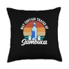 May Contain Traces Of Sambuca Bartender Bartending Throw Pillow