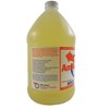 AmTech300 - Boiler Treatment Professional Strength (Rust Inhibitor For Outdoor