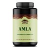 TIBET NATURA - Amla 60 Cápsulas 500 mg c/u -