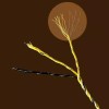 Home Valla Polywires Polyropes Conductividad Confiable Animal