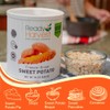 Ready Harvest Freeze-Dried Sweet Potatoes | Camper Must-Haves Camping Essentials