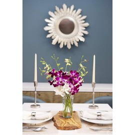 Blooms2Door PRIME NEXT DAY DELIVERY - Mother’s Day Collection - Exotic Opal Orchid, 3 Count.Gift for Birthday, Thank You, Valentine, Mother’s Day Fresh Flowers