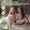 Flea Traps for Inside Your Home, Flea Killer Trap Indoor