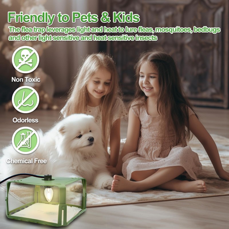 Flea Traps for Inside Your Home, Flea Killer Trap Indoor