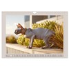 Sphinx Katzen. Eleganz auf leisen Pfoten (Wandkalender 2026 DIN A4