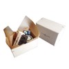 MARIACREMA Shoe Care Set, Small Size, Beechwood Horse Hair Brush