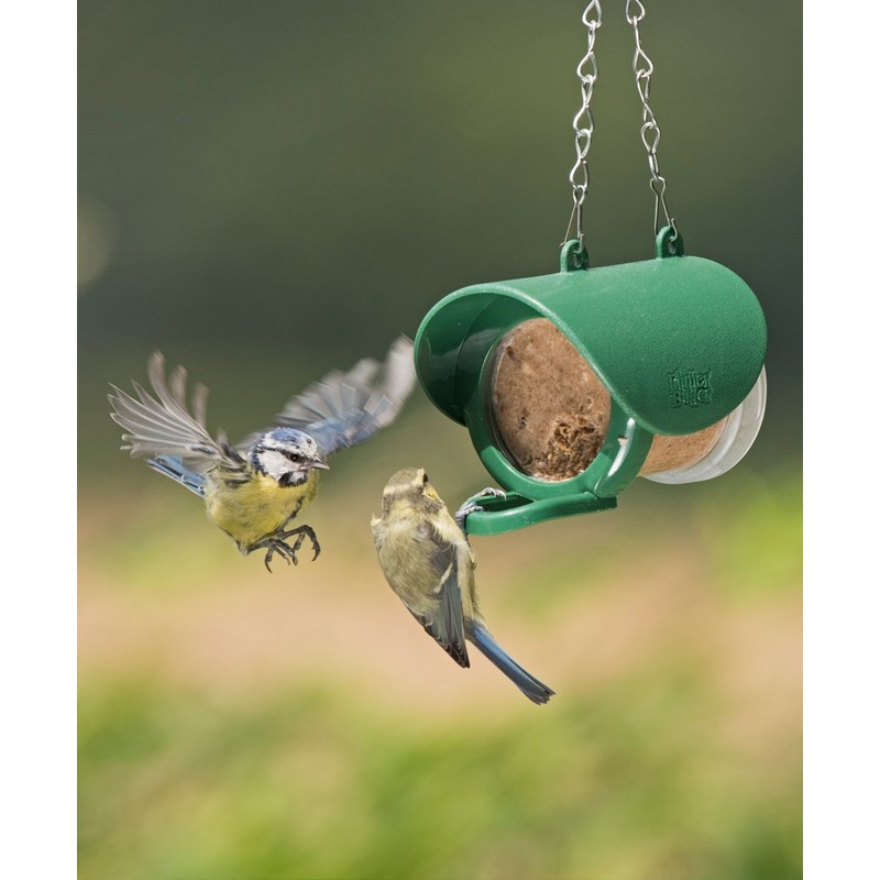 Hanging Flutter Butter Feeder For Garden and Wild Birds -