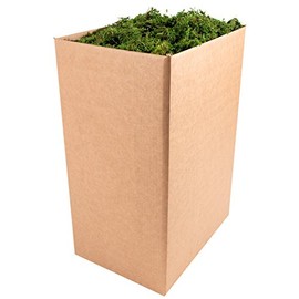 SuperMoss (25327) Forest Moss Preserved, Fresh Green, 10 Pounds