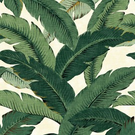 Tommy Bahama - Premium Peel and Stick Wallpaper, Designer Tropical Wallpaper for Bedroom, Dorm Room Essentials, Self Adhesive, Vinyl, 30.75 Sq Ft Coverage (Swaying Palms Collection, Aloe)
