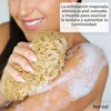 Esponja de mar natural Naroa XL – Exfoliante corporal ecológico
