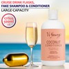 Vignee 2 Pack BPA-Free Empty Shampoo Containers, Discreet Beverage Flasks