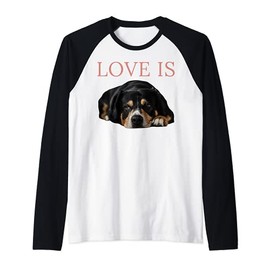 Swiss Mountain Dog Shirt Appenzeller Sennenhund Mom Dad Dog Raglan Baseball Tee