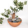 YISZM 20lbs Natural River Rocks, 3"-4" Premium Pebbles for Garden