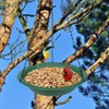 Hanging Bird Feeder for Outside, Hanging Bird Feeder Tray with