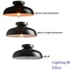 DIRYZON 12-Inch Industrial Ceiling Light Fixture,Black Bedroom Ceiling Light,Metal Ceiling
