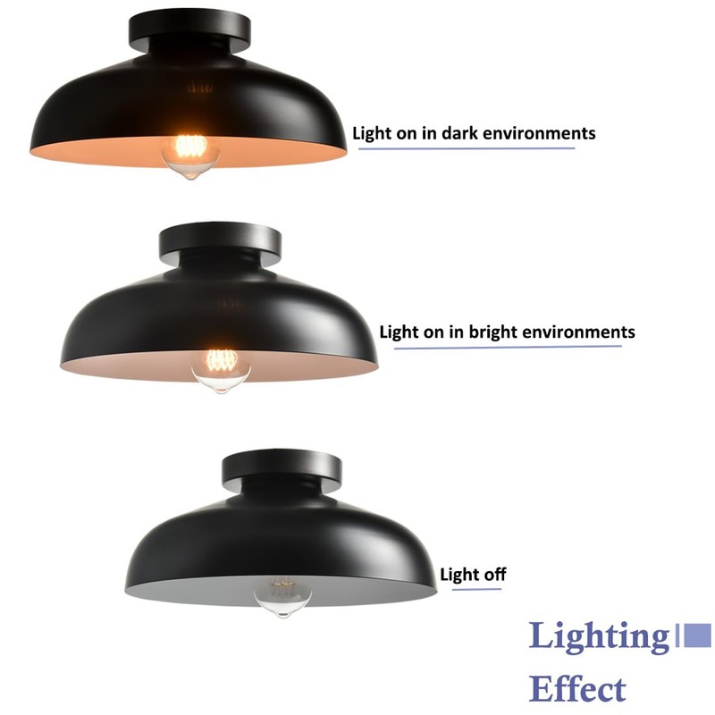 DIRYZON 12-Inch Industrial Ceiling Light Fixture,Black Bedroom Ceiling Light,Metal Ceiling
