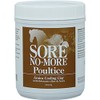 Arenus Sore No More Cooling Clay Poultice (5-Pound)